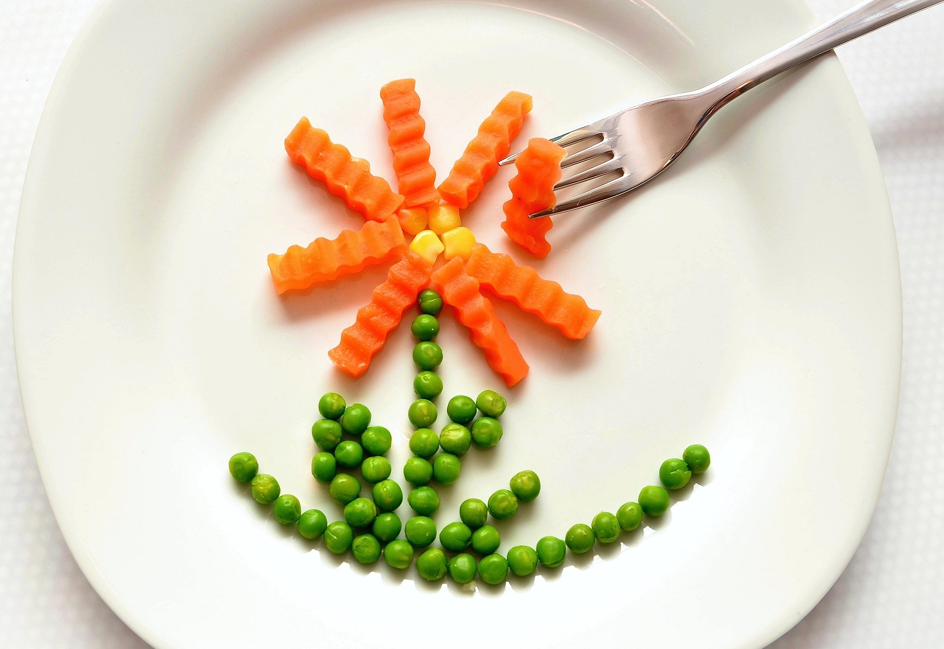Alimentation et Nutrition