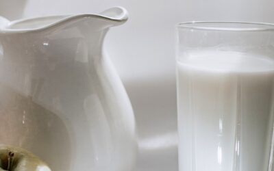 Guide des alternatives au lait de vache
