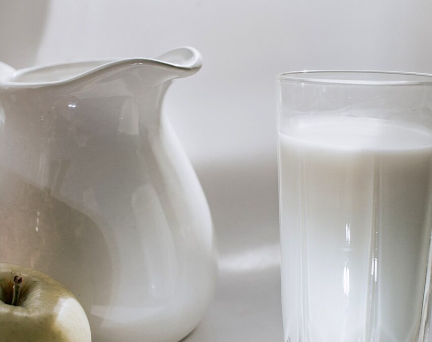 Guide des alternatives au lait de vache