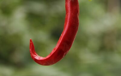 Bienfaits des piments pour la santé